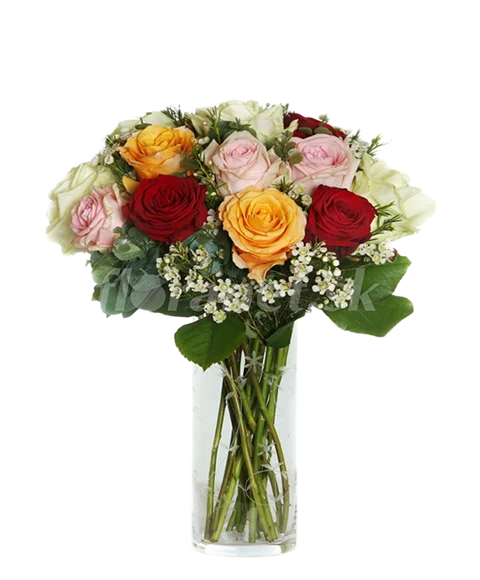 Rose miste
